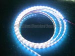 SMD 5050 LED Strip light