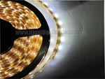 SMD 5050 LED Strip light