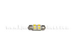 31mm 4SMD 5050 White